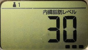 内臓脂肪レベル