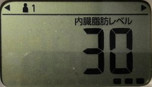 内臓脂肪レベル
