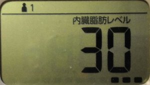 内臓脂肪レベル