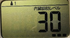 内臓脂肪レベル