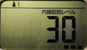 内臓脂肪レベル