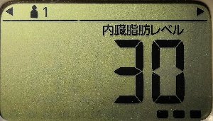 内臓脂肪レベル
