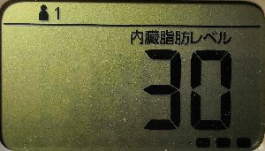 内臓脂肪レベル