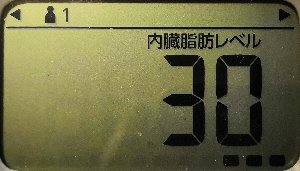 内臓脂肪レベル