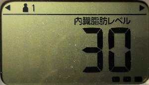 内臓脂肪レベル