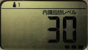 内臓脂肪レベル