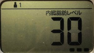 内臓脂肪レベル