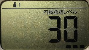 内臓脂肪レベル