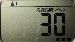 内臓脂肪レベル