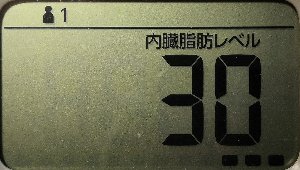内臓脂肪レベル
