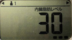 内臓脂肪レベル