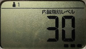 内臓脂肪レベル