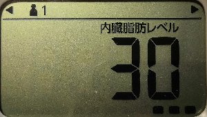 内臓脂肪レベル