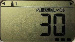 内臓脂肪レベル
