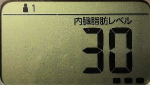内臓脂肪レベル