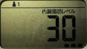 内臓脂肪レベル
