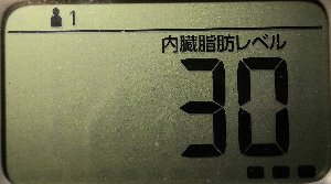 内臓脂肪レベル