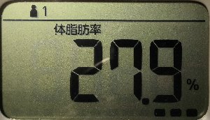 体脂肪率