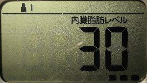 内臓脂肪レベル