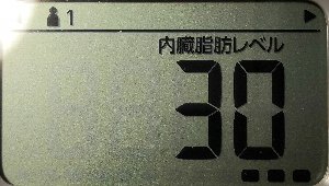 内臓脂肪レベル