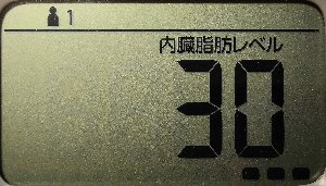 内臓脂肪レベル