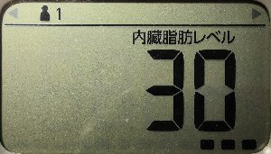 内臓脂肪レベル