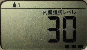 内臓脂肪レベル
