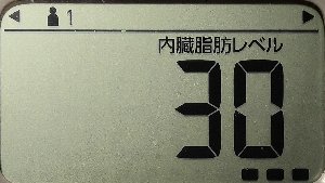内臓脂肪レベル