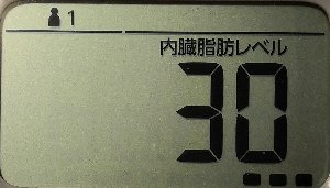 内臓脂肪レベル