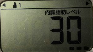 内臓脂肪レベル