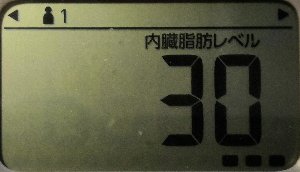内臓脂肪レベル