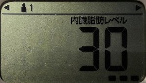 内臓脂肪レベル