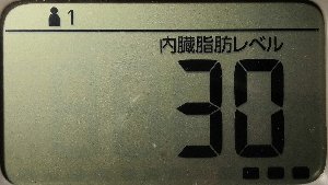 内臓脂肪レベル