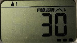 内臓脂肪レベル