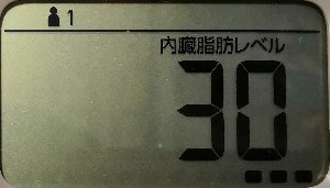 内臓脂肪レベル