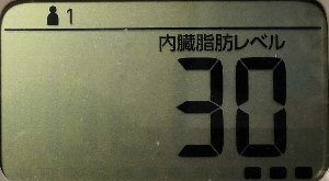 内臓脂肪レベル