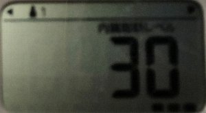 内臓脂肪レベル