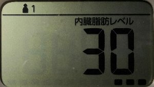 内臓脂肪レベル