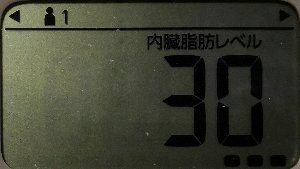 内臓脂肪レベル