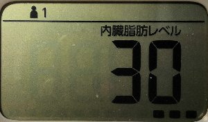 内臓脂肪レベル