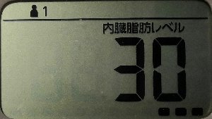内臓脂肪レベル