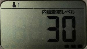 内臓脂肪レベル