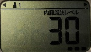 内臓脂肪レベル