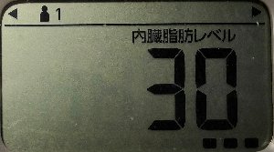 内臓脂肪レベル