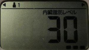 内臓脂肪レベル