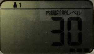 内臓脂肪レベル