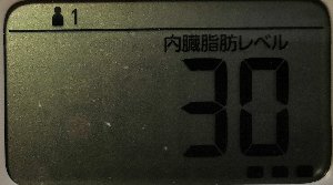 内臓脂肪レベル