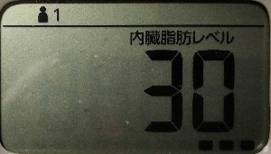 内臓脂肪レベル