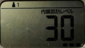 内臓脂肪レベル