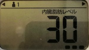 内臓脂肪レベル